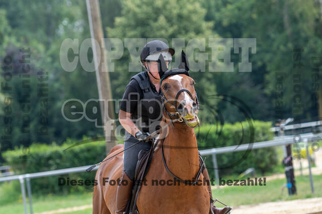 Hunter Geländetraining 10.07.2021 (Sonsbeck)