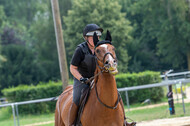 Hunter Geländetraining 10.07.2021 (Sonsbeck)