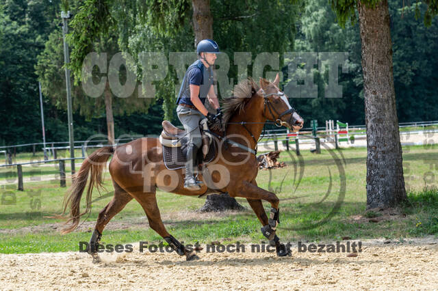 Hunter Geländetraining 10.07.2021 (Sonsbeck)