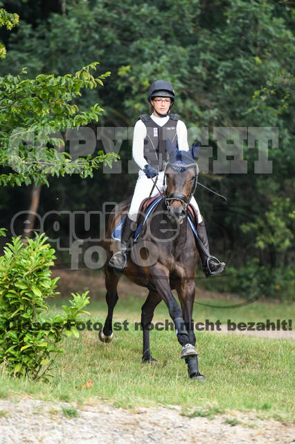 Late-Entry-Vielseitigkeit Langenfeld (11.+13./14.06.2020)