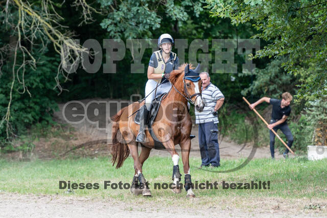 Late-Entry-Vielseitigkeit Langenfeld (11.+13./14.06.2020)