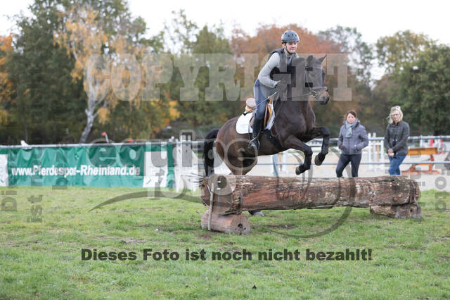 IGV Lehrgang der Sieger der Cups mit Frank Ostholt