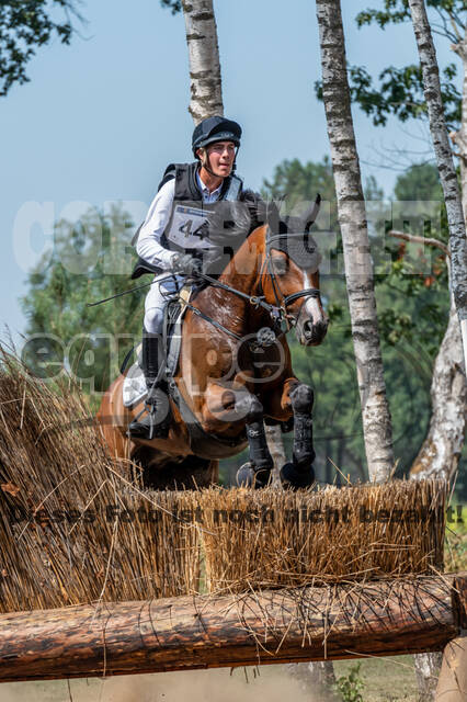 De Peelbergen (August 2020)