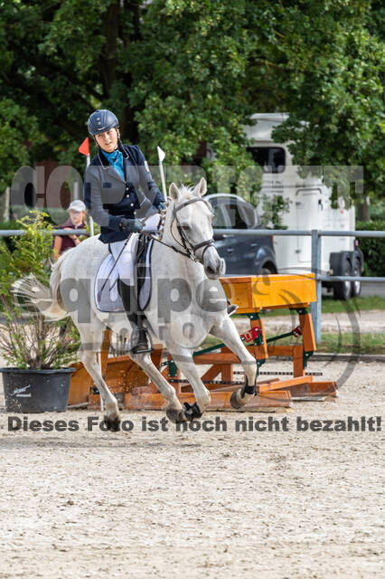 Landesturnier Rheinland, Vielseitigkeit, 22.+23.08.2020