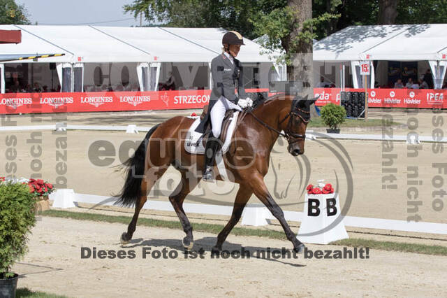 FEI European Championship Eventing 2017