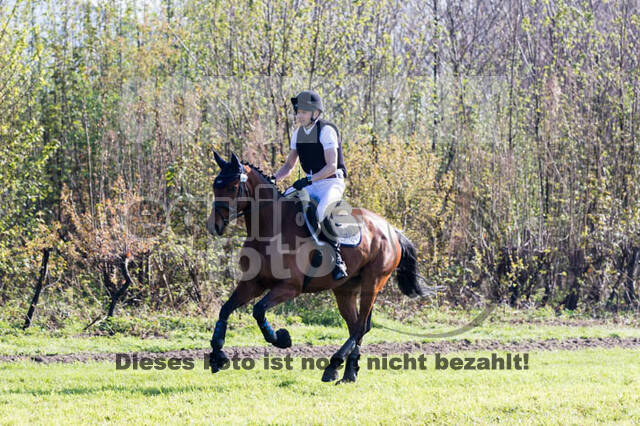 Vielseitigkeitsturnier RV Lippe-Bruch-Gahlen