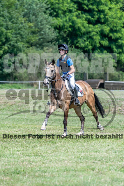 Goldene Schärpe 2021 - Ponys