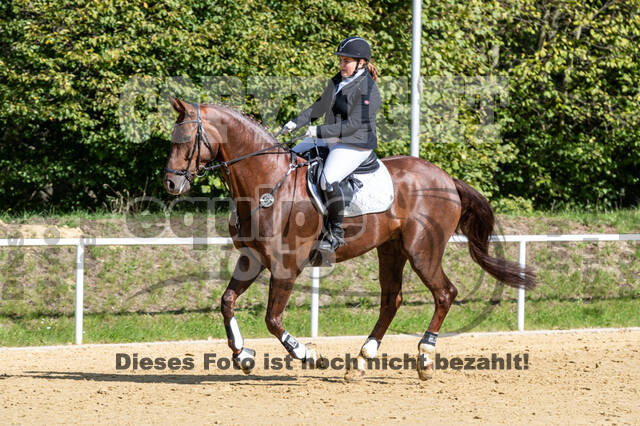 RFV Dinslaken-Hiesfeld (Herbstturnier)