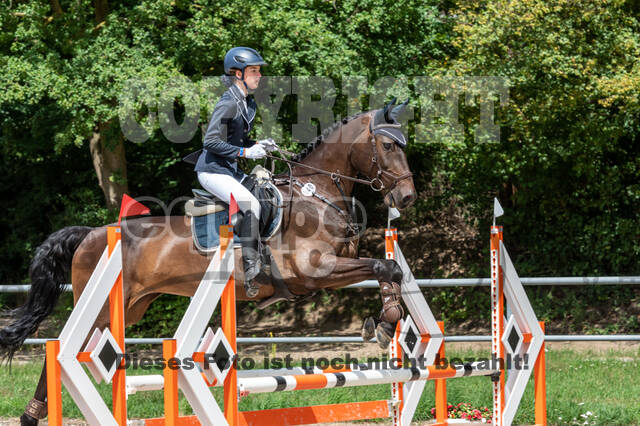 Late-Entry-Vielseitigkeit Langenfeld (06.+07.07.2020)