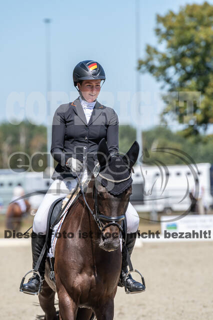 Kronenberg - De Peelbergen (August 2020)