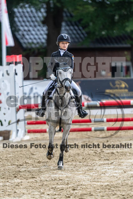 Goldene Schärpe 2021 - Ponys