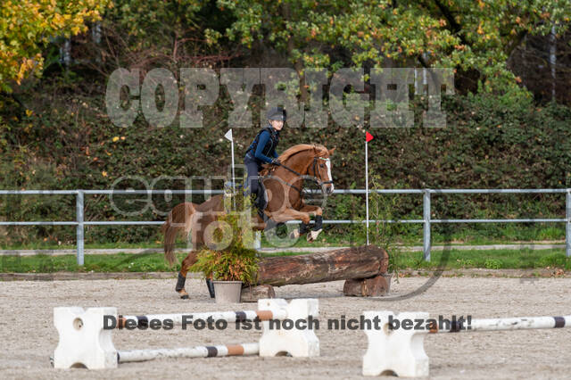IGV Lehrgang der Sieger der Cups mit Frank Ostholt