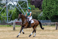 Late-Entry Vielseitigkeit Hamminkeln/Wesel (01.+02.08.2020)
