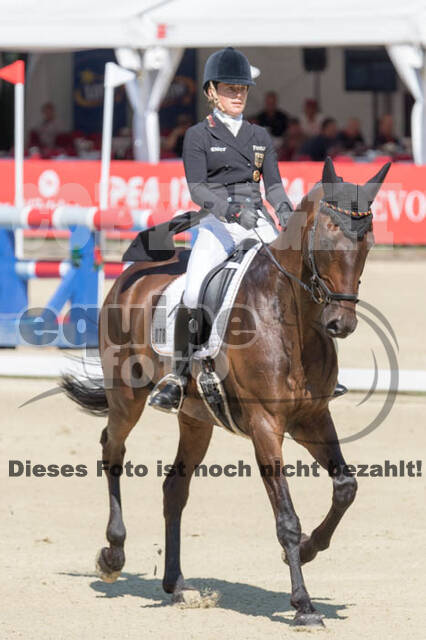 FEI European Championship Eventing 2017