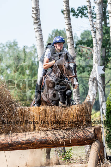 De Peelbergen (August 2020)