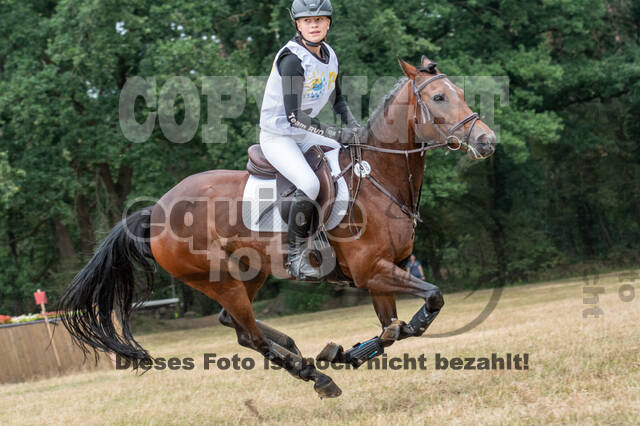 Late-Entry Vielseitigkeit Hamminkeln/Wesel (01.+02.08.2020)