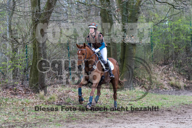 Eventing im Pferdesportzentrum Rheinland (Late Entry 14.03.2022)