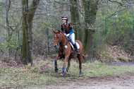 Eventing im Pferdesportzentrum Rheinland (Late Entry 14.03.2022)