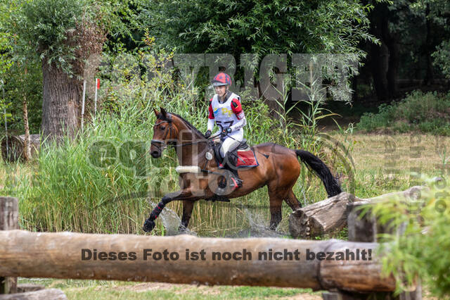 Late-Entry Vielseitigkeit Hamminkeln/Wesel (01.+02.08.2020)