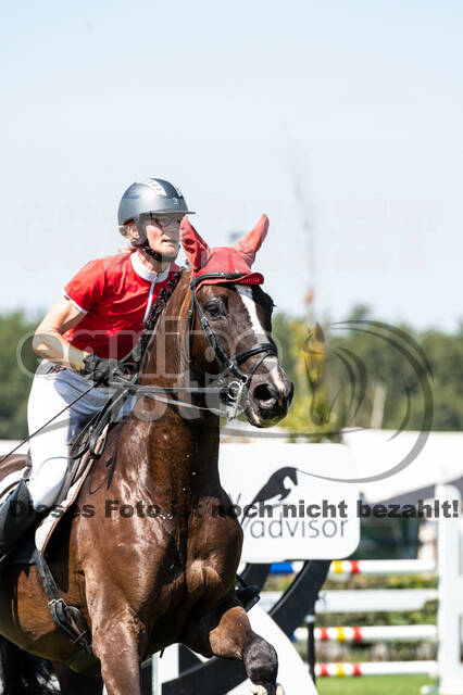 Kronenberg - De Peelbergen (August 2020)