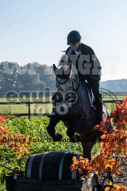 Vielseitigkeitslehrgang mit Jürg Kurbel (9.+10.11.2019)