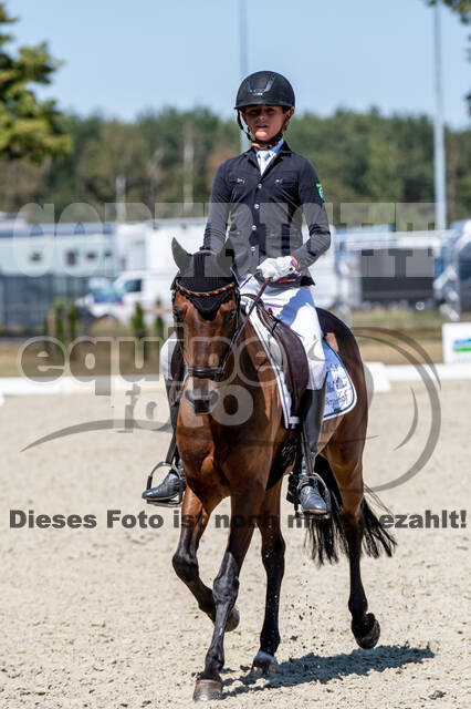 Kronenberg - De Peelbergen (August 2020)