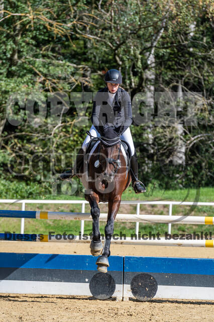 RFV Dinslaken-Hiesfeld (Herbstturnier)