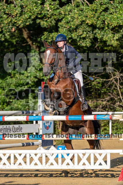 RFV Dinslaken-Hiesfeld (Herbstturnier)