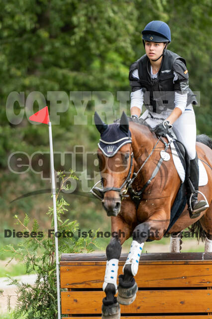 Late-Entry-Vielseitigkeit Langenfeld (06.+07.07.2020)