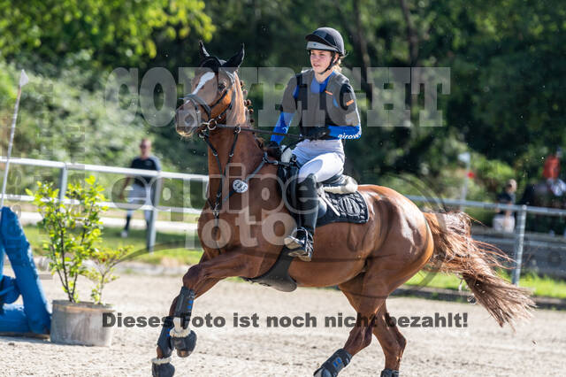 Late-Entry-Vielseitigkeit Langenfeld (11.+13./14.06.2020)