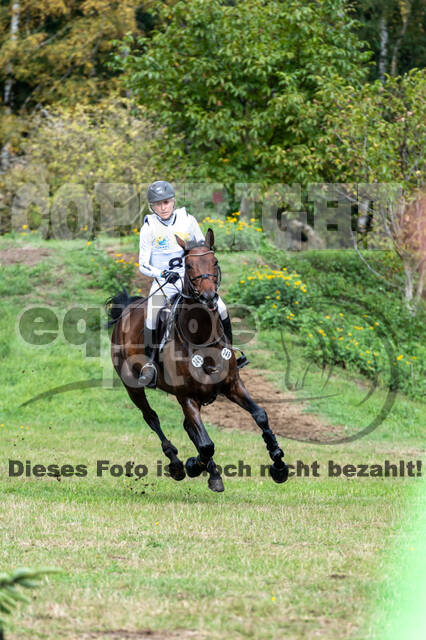 Vielseitigkeit RSV Wesel Obrighoven (26.+27.09.2020)