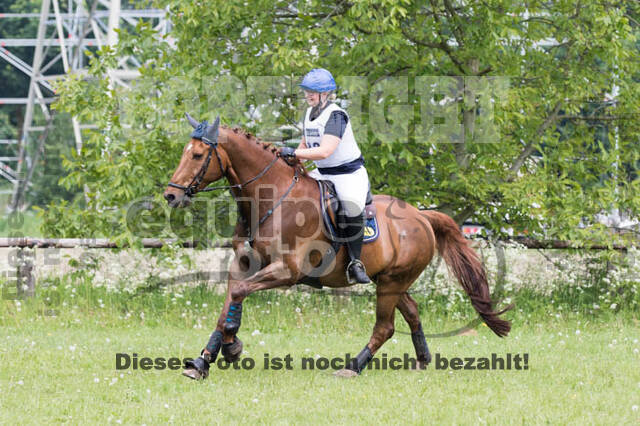 Vielseitigkeitsturnier ZRFV von Lützow Hamminkeln