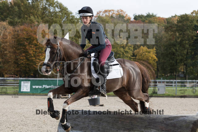 IGV Lehrgang der Sieger der Cups mit Frank Ostholt