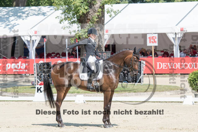 FEI European Championship Eventing 2017