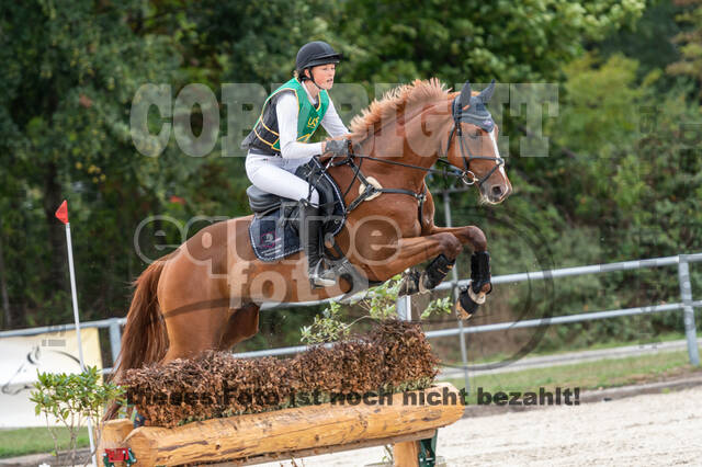 Landesturnier Rheinland, Vielseitigkeit, 22.+23.08.2020