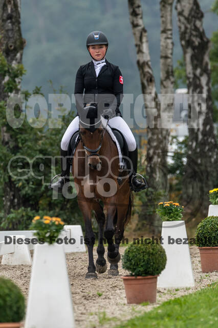 Deutsche Meisterschaft Vielseitigkeit (Luhmühlen)