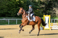 RFV Dinslaken-Hiesfeld (Herbstturnier)