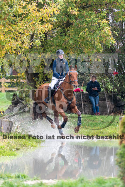 Goldene Schärpe 2020 - Pferde