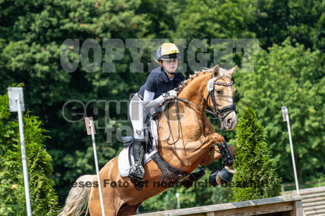 Goldene Schärpe 2021 - Ponys