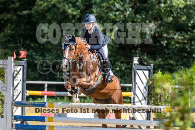 RFV Dinslaken-Hiesfeld (Herbstturnier)