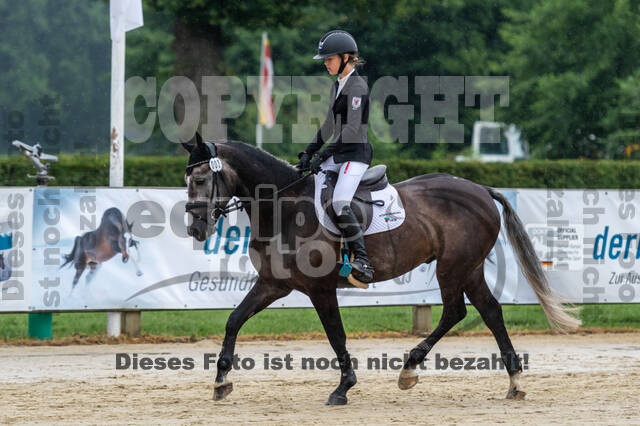 Goldene Schärpe 2021 - Ponys