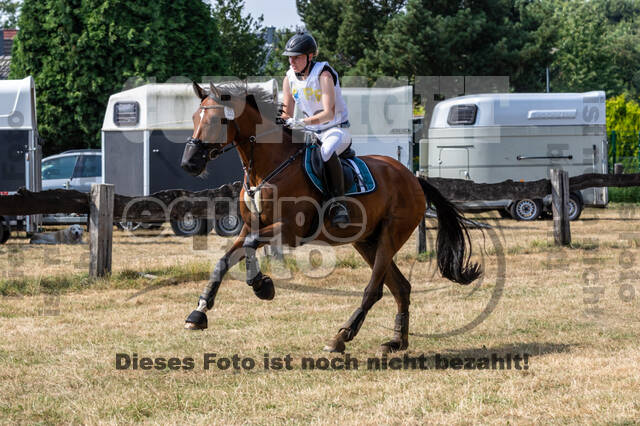 Late-Entry Vielseitigkeit Hamminkeln/Wesel (01.+02.08.2020)