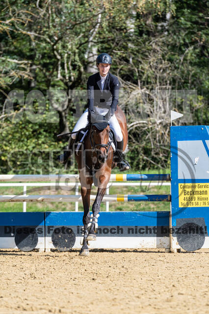 RFV Dinslaken-Hiesfeld (Herbstturnier)