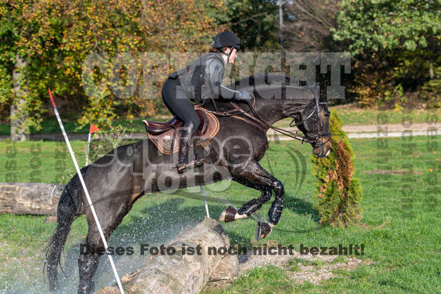 IGV Lehrgang der Sieger der Cups mit Frank Ostholt