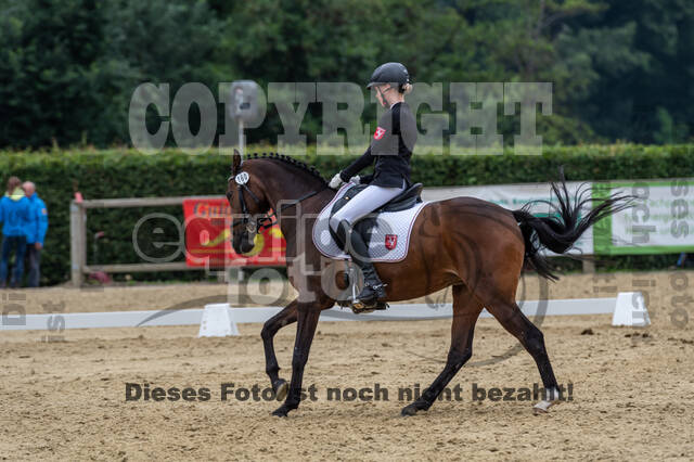 Goldene Schärpe 2021 - Ponys