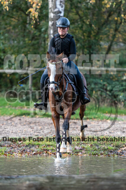 IGV Lehrgang der Sieger der Cups mit Frank Ostholt