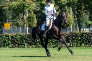 Kronenberg - De Peelbergen (August 2020)