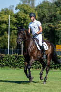 Kronenberg - De Peelbergen (August 2020)