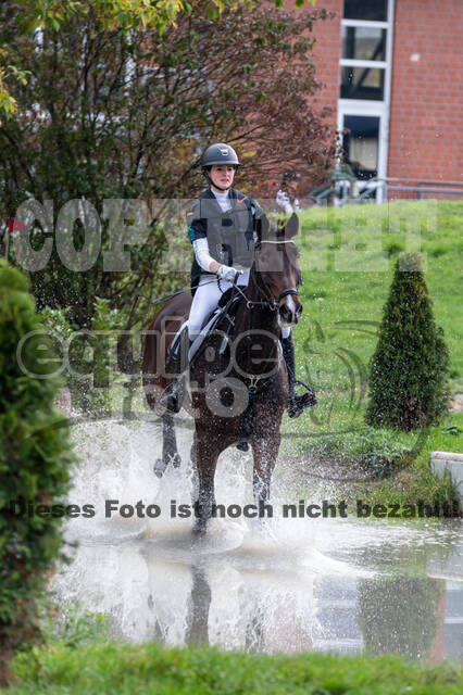 Goldene Schärpe 2020 - Pferde