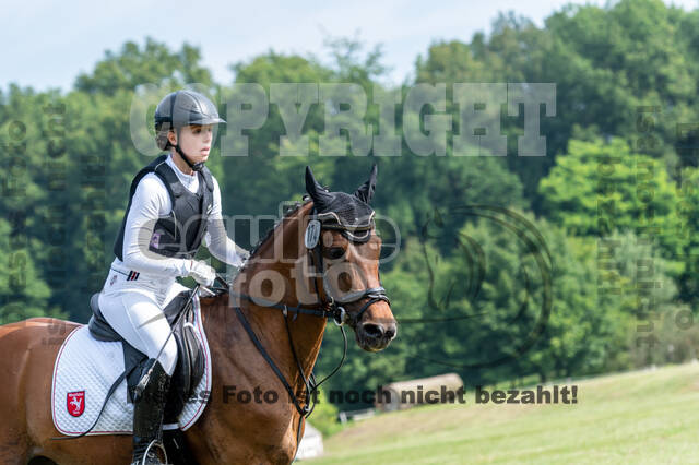 Goldene Schärpe 2021 - Ponys